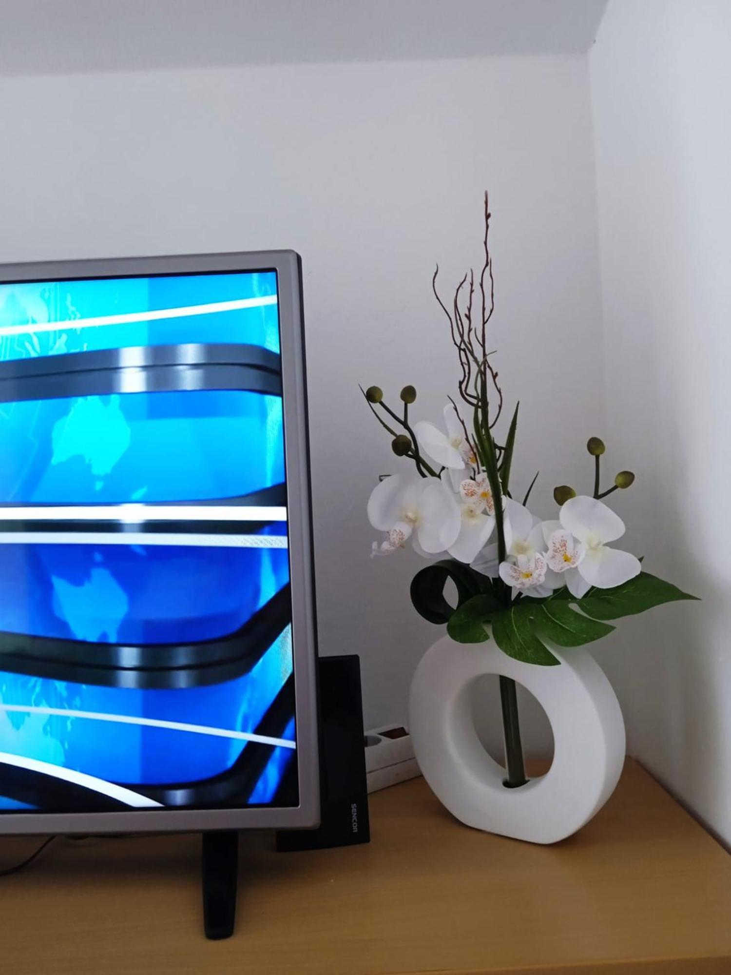 Mala Basina -Maslina Apartment Vrbanj Ngoại thất bức ảnh