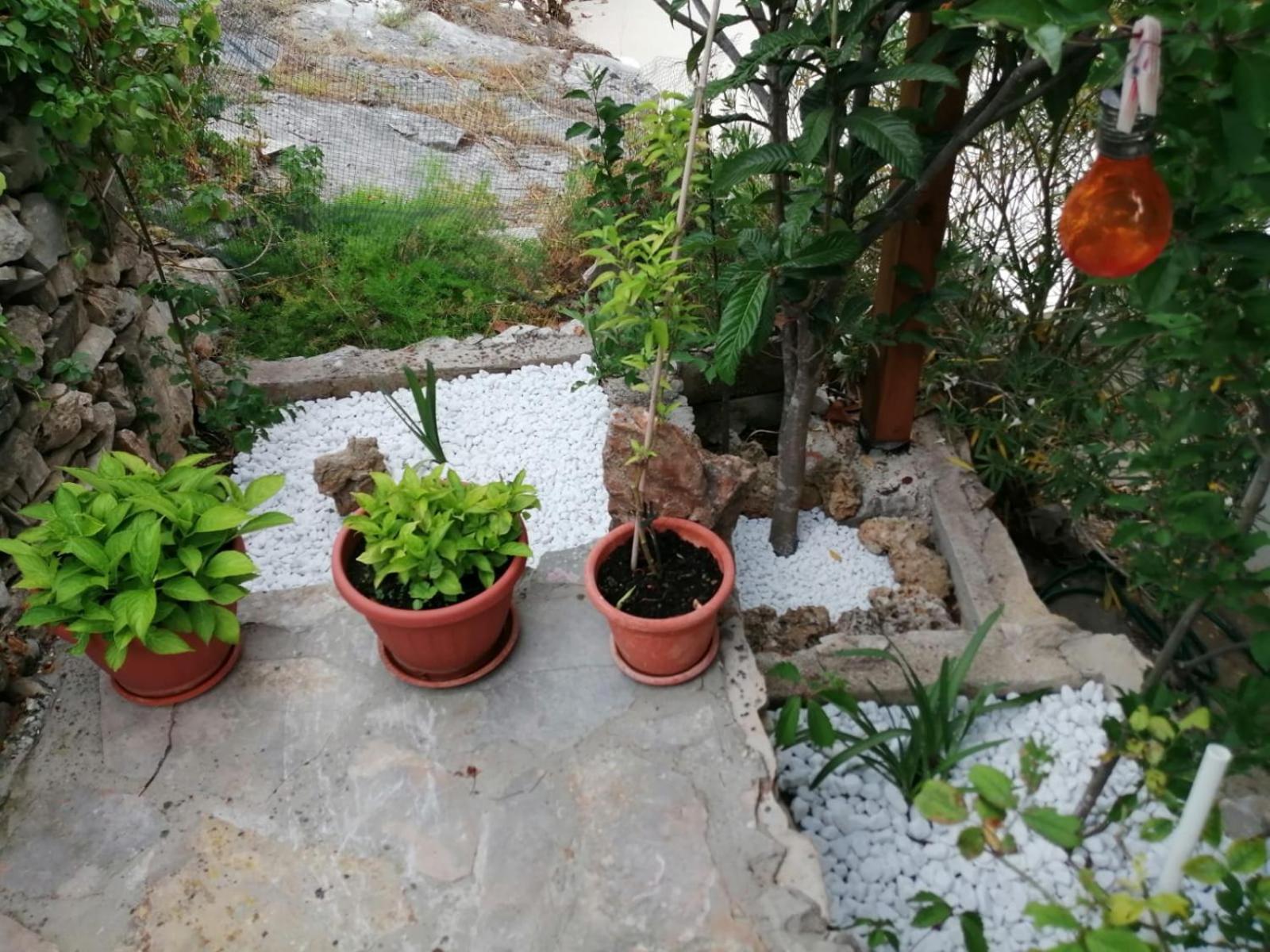 Mala Basina -Maslina Apartment Vrbanj Ngoại thất bức ảnh